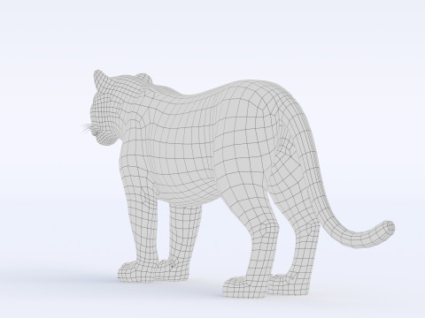 Cartoon Tiger 3Dモデル