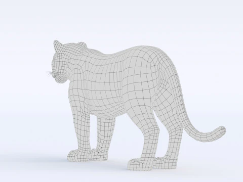 Cartoon Tiger 3D Model
