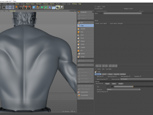 roronoa zoro model 3D Model