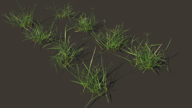 grass clump realistic Modello 3D .c4d .max .obj .3ds .fbx .stl .blend 