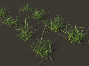 grass clump realistic 3D Модель