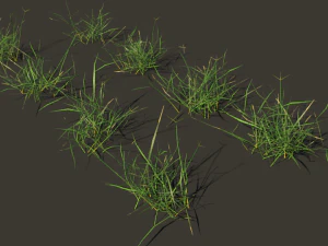 grass clump realistic 3D Model