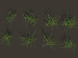grass clump realistic Modello 3D