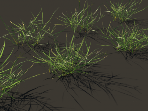 grass clump realistic Modello 3D