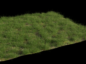 grass clump realistic Modello 3D