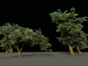 tree pack 3D Model