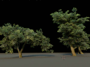 tree pack 3D Model