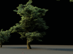 tree pack 3D Model