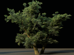 tree pack 3D Model