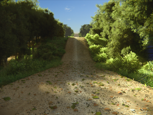 tree pack Model 3D