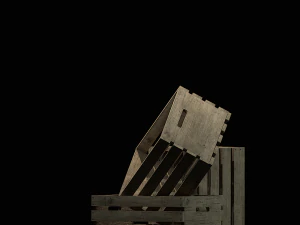 crate woods 3D Model