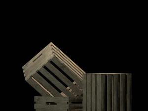 crate woods 3D Model