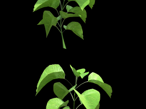 assetnature pack01 3D Model