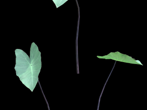 assetnature pack01 3D Model