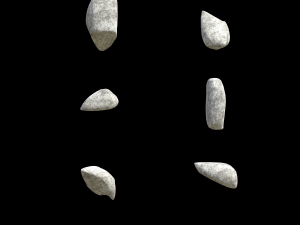 assetnature pack01 3D Model