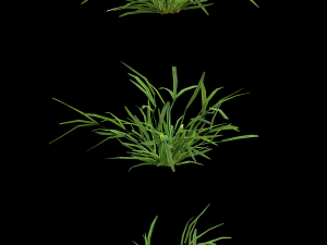 assetnature pack01 3D Model