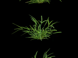 assetnature pack01 3D Model