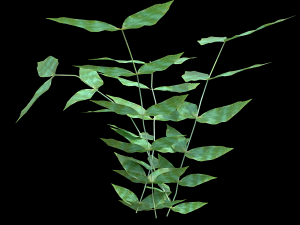assetnature pack01 3D Model