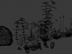 assetnature pack01 3D Model
