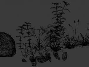 assetnature pack01 3D Model