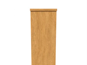 shelve09 3D Model