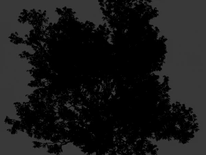 &aacute;rvore realista Modelo 3D