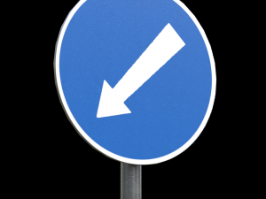 compulsory keep left roadsign Model 3D