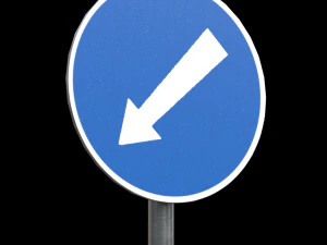 compulsory keep left roadsign 3D Model