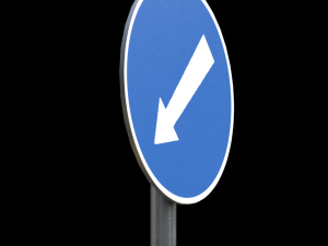 compulsory keep left roadsign Model 3D