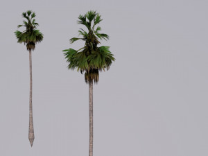 tree pack 3D Model