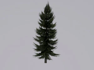 tree pack 3D Model