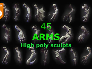 45 ARMS високополігональні скульптури 3D Модель
