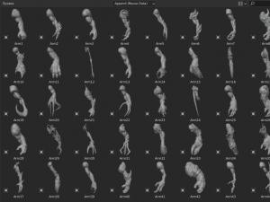 45 ARMS high poly sculpts 3D 模型