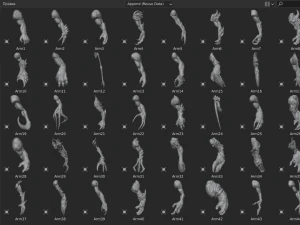 45 ARMS high poly sculpts 3D Model
