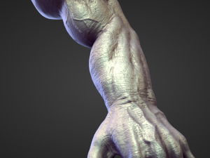 45 ARMS high poly sculpts 3D 模型