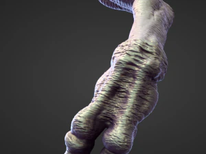 45 ARMS high poly sculpts 3D Model