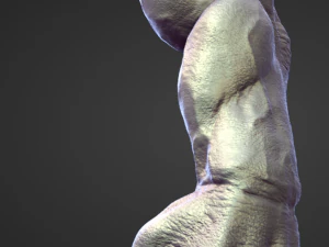 45 ARMS high poly sculpts 3D Model