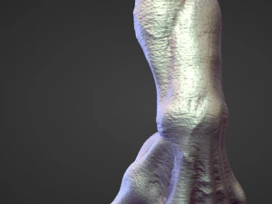 45 ARMS high poly sculpts 3D Model