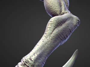 45 ARMS high poly sculpts 3D Model