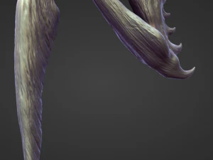 45 ARMS high poly sculpts 3D Model