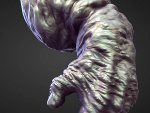 45 ARMS high poly sculpts 3D Model