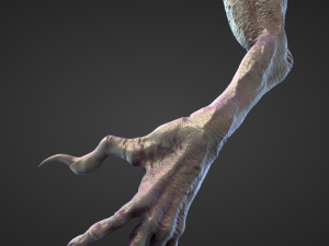 45 ARMS high poly sculpts 3D 模型