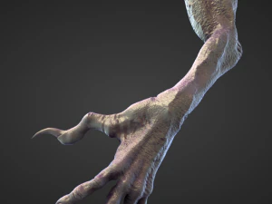 45 ARMS high poly sculpts 3D Model
