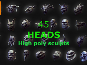 45 HEADS high poly sculpts 3D Model