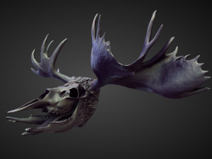 45 HEADS high poly sculpts 3D Модель