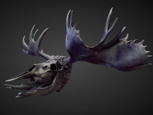 45 HEADS high poly sculpts 3D Model