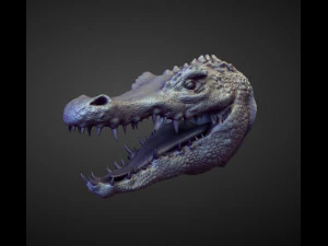 45 HEADS high poly sculpts 3D Model