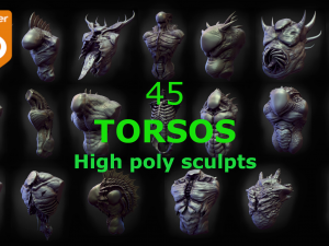 45 TORSOS high poly sculpts Modelo 3D