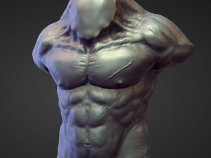45 TORSOS high poly sculpts Model 3D