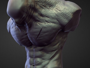 45 TORSOS high poly sculpts Model 3D